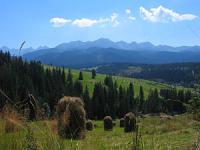300px Tatry widok z Tarasowek
