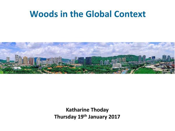 Final Woods in the Global Context first page page 001