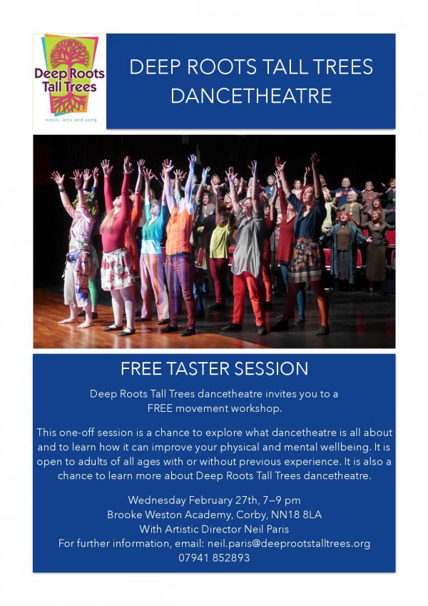 DRTT DT Flyer Taster page 001